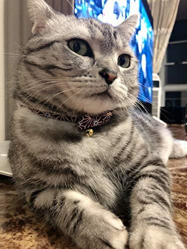 Petokoo Japão Chirimen Bowtie Cat Collar. Padrão de Tortoisshell. Segurança Breakaway com arco, macios, confortáveis ​​e fofos para meninos gatos do sexo feminino, amarelo