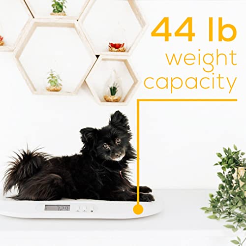 Beurer by90 Baby Scale, Pet Scale, Digital, com fita adesiva, rastreando peso com APP | Display LCD, pesa lbs/kg/oz