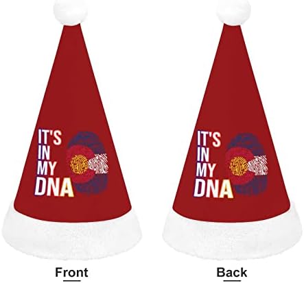 Está no meu DNA Bandeira do Estado do Colorado Chapéu de Natal Personalizado Papai Noel Decorações engraçadas