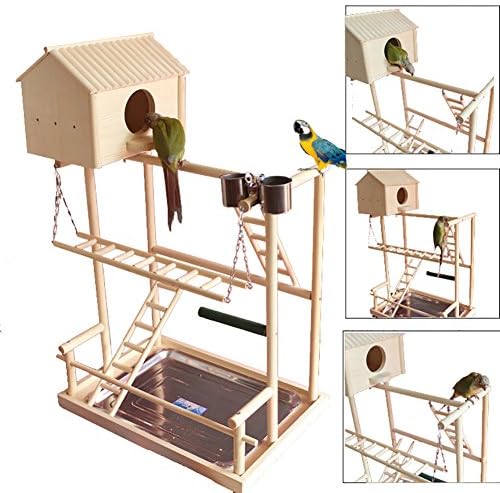Qleev Bird Playground poleiro, suporte de treinamento de papagaio, tocar na mesa de ginástica com bandeja de aço inoxidável de ninho e copos de alimentador de pratos, alimentos de metal brinquedo de balanço escada para pássaros pequenos e animais pergulamentados parakee