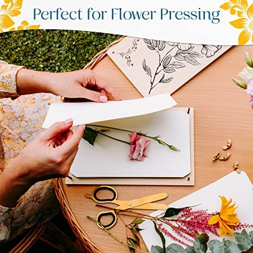 Papel de transferência de flores para prensa de flores por Berstuk® • Refiliação de papel da prensa de flores