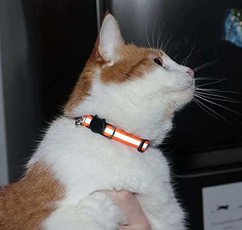 Versão atualizada - colarinho de gato reflexivo com sino, conjunto de 6, colares sólidos e seguros para gatos,