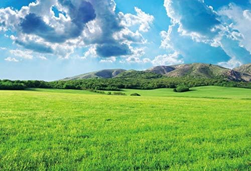 Oerju de 10x8ft meadow photography panoscape natural paisagem primavera grama verde terra montanhas azul céu nuvens brancas agricultura foto de pano de fundo do escritório da casa de parede