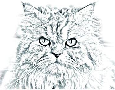 Art Dog Ltd. Gato persa, lápide oval de azulejo de cerâmica com uma imagem de um gato