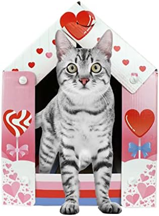 American Cat Club Love Shack Cat House & Cat Scratcher com Bônus Catnip incluído