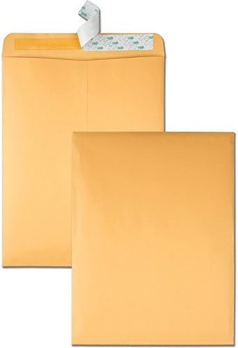 Envelope de catálogo de greve de granel de alta qualidade do parque de qualidade, 13 1/2, aba de lâmina de queijo, fechamento adesivo de faixa de queijo, 10 x 13, marrom kraft, 250/ct