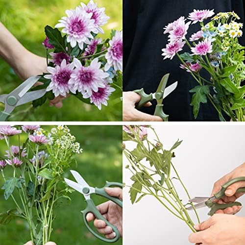 14 peças sapos de flores para arranjos Mini ferramentas fixas de pinos de flor de flor redonda para plantas florais