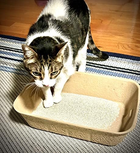 Pacote de areia de gato descartável de Midlee de 5-16,5 x 12 x 4