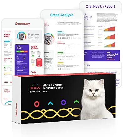 Teste de seqüenciamento de genoma inteiro de Basepas de Basé | Informações genéticas completas do seu gato | Relatório de raça + saúde e relatório de saúde bucal | Atualizações de vida grátis