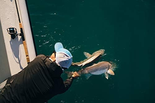 Cartão de giro Penn Clash II - costa leve da água salgada e carretel de pesca de caiaque para pesca - rolo de pesca do mar para baixo, politing, bacalhau, wrasse