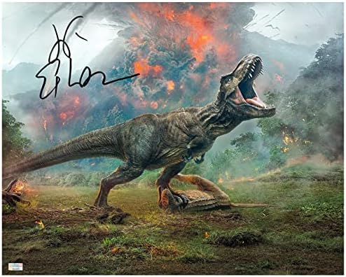 Jeff Goldblum autografou Jurassic Park T-Rex 16x20 Foto