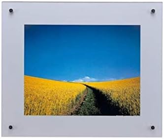 フジ カラー Fujicolor 001883 Pro Frame, tamanho especial, acrílico, preto