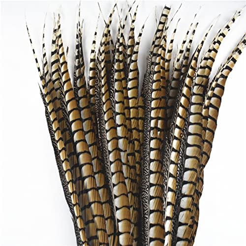 Zamihalaa-10pcs/lote natural penas de faisão Lady para artesanato 10-120cm 4-48 Acessórios de carnaval de comprimento Plume de decoração de penas