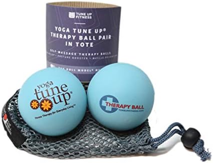 Ioga sintoniza as bolas de terapia de massagem param 2balls em malha de tamanho original Jill Miller: