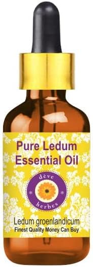 Deve Herbes Pure Ledum essencial a vapor destilado com gotas de vidro 100ml