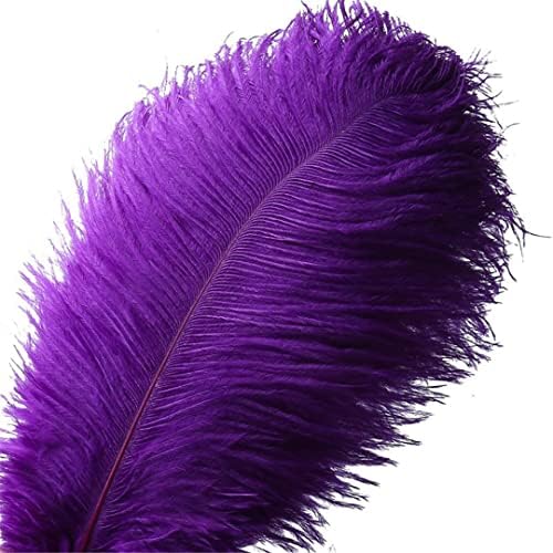 Feathers de avestruz roxa 15-70cm 10-200pcs/lotes de partido DIY/decoração de casamento e penas para artesanato 65-70cm 26-28 polegadas 100pcs