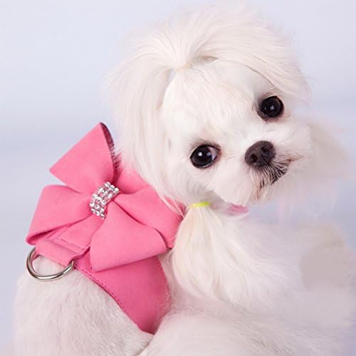 Zunea Pet Dog Colet Arnness para menina de cachorro pequena gravata borbole
