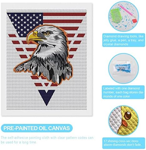 EUA Bald bandeira de águia personalizada pintura de diamante personalizado broca completa foto personalizada