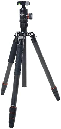 Canon EF 500mm f/4l IS II Usm Image Stabilizer Lens telefoto-Pacote com FOTOPRO X-GO MAX Tripé de
