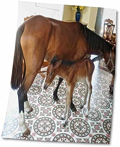 3drose recém -nascido bebê cavalo em uma sala de estar colonial por outro cavalo - toalhas