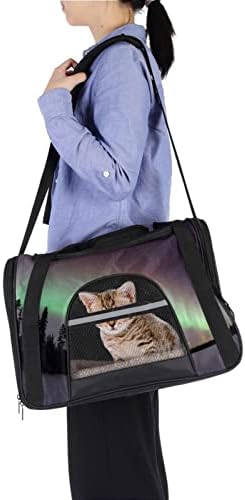 Portador de animais Aurora Polaris Light Soft-sidelysised Pet Travel portadoras para corgi, gatos, cães