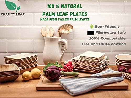 Charity Leaf Disponível Folha de palmeira 12 Placas redondas de bambu, como pratos de servir, tábuas descartáveis, louça de jantar ecológica para casamentos, catering, eventos