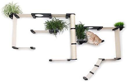 Catastrophicreations Gardens definidos para gatos riscos montados na parede de vários níveis, lounge de hammock, brincar e escalar mobiliário de mobília de gatos prateleiras de árvore de gatos